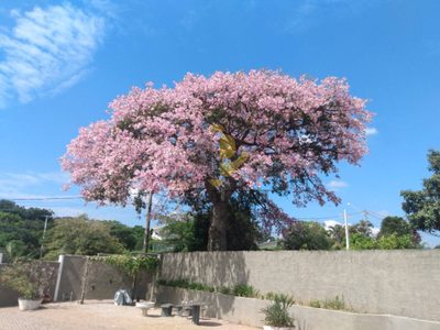 Casa, 3 quartos, 180 m² - Foto 5