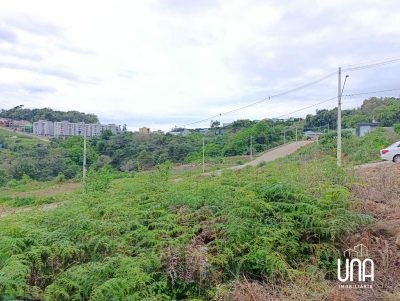 Terreno, 259 m² - Foto 3