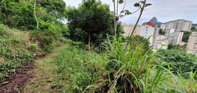 Terreno, 8000 m² - Foto 4