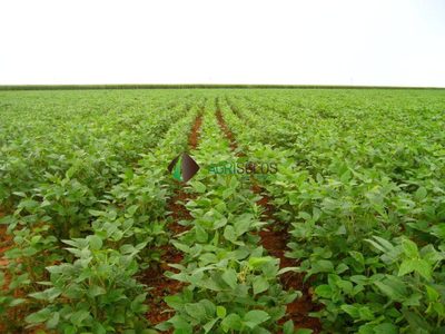 Terreno, 4500 m² - Foto 3