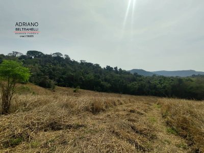 Terreno, 2 hectares - Foto 2