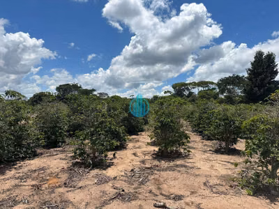 Terreno, 1 hectares - Foto 1