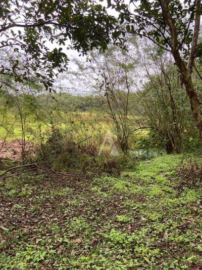 Terreno, 1 hectares - Foto 4