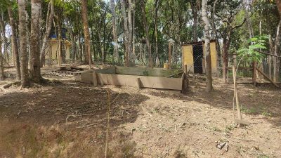 Terreno, 3 hectares - Foto 2