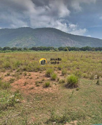 Terreno, 8 hectares - Foto 3