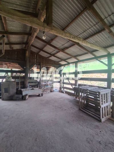 Chácara, 11 hectares - Foto 3