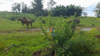 Terreno, 8 hectares - Foto 1