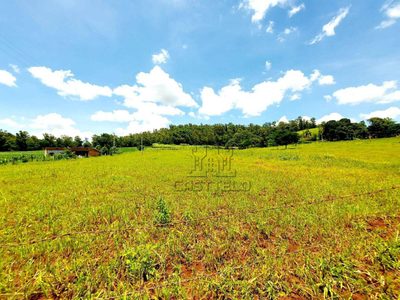 Chácara, 1 quarto, 5000 m² - Foto 3