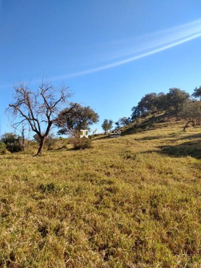 Terreno, 18 hectares - Foto 2