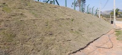 Terreno, 2500 m² - Foto 2