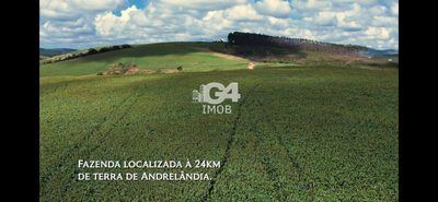 Fazenda, 324 hectares - Foto 5