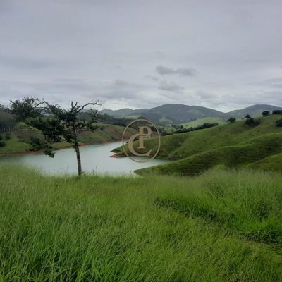 Sítio, 5 quartos, 300 m² - Foto 1