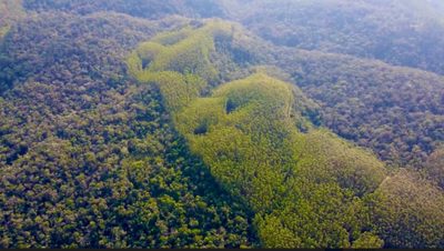 Sítio, 66 hectares - Foto 4