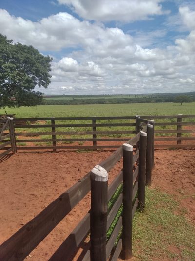 Fazenda, 10000 m² - Foto 5
