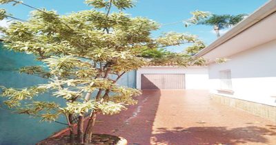 Casa, 4 quartos, 217 m² - Foto 1