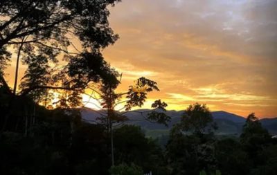 Fazenda, 10 hectares - Foto 4