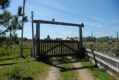 Sítio, 2 quartos, 519 m² - Foto 4