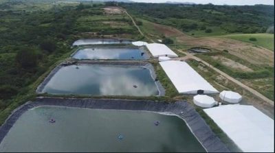Fazenda, 4 hectares - Foto 1