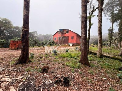 Chácara, 5 quartos, 3 hectares - Foto 1
