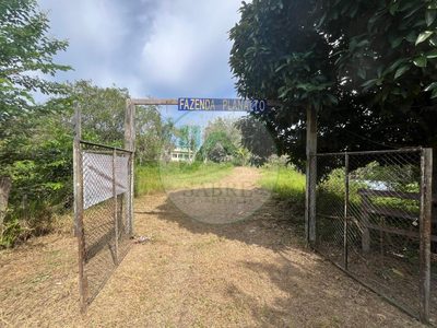 Fazenda, 3 quartos - Foto 2