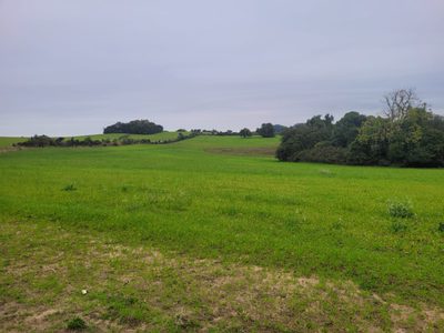 Fazenda - Foto 3