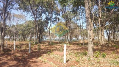 Chácara, 1 quarto - Foto 4