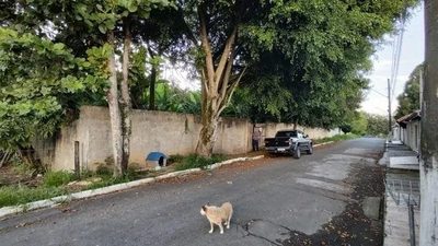 Terreno, 250 m² - Foto 4