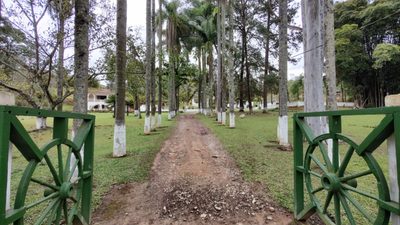 Sítio, 3 quartos, 32 hectares - Foto 4
