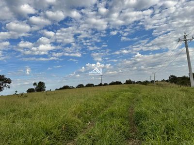 Terreno, 100 hectares - Foto 3