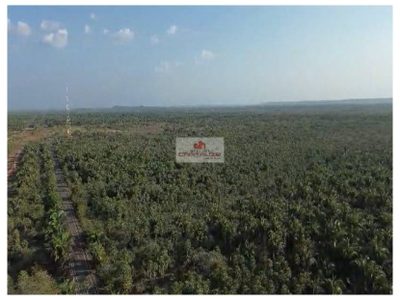 Fazenda, 807 m² - Foto 5