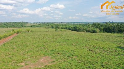 Fazenda, 4580000 hectares - Foto 4