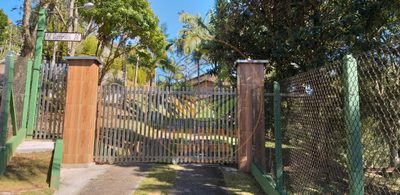 Chácara, 4 quartos - Foto 4