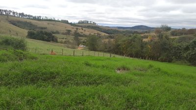 Fazenda, 220 hectares - Foto 1