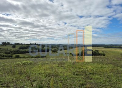 Chácara, 293 hectares - Foto 4