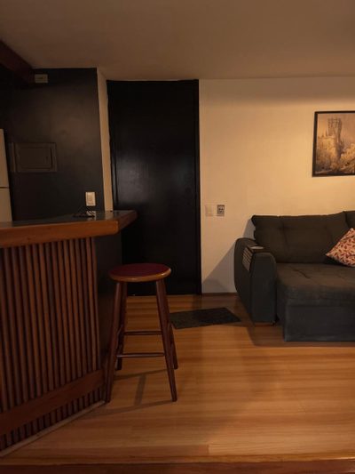Apartamento, 1 quarto, 48 m² - Foto 2