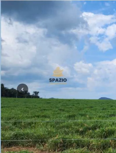 Fazenda, 1462 m² - Foto 4