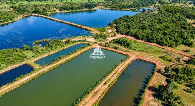 Fazenda, 117 hectares - Foto 1