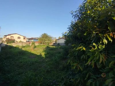 Terreno, 720 m² - Foto 4