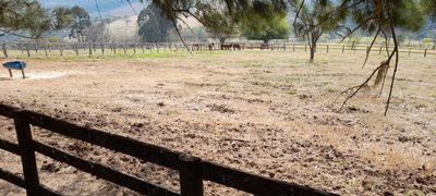 Fazenda, 10000 m² - Foto 4