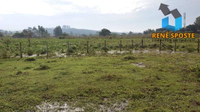 Terreno, 4 hectares - Foto 1
