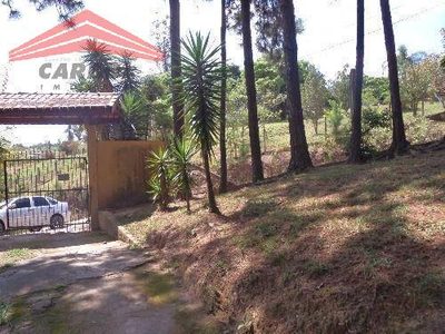 Sítio, 3 quartos, 3800 m² - Foto 3