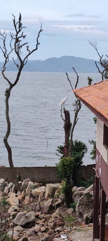 Casa, 2 quartos, 127 m² - Foto 2