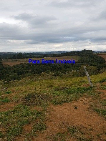 Terreno, 4581 m² - Foto 4
