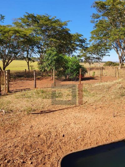 Sítio, 3 quartos, 15 hectares - Foto 3