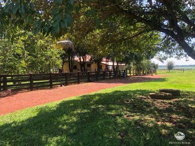 Fazenda, 3690 hectares - Foto 3