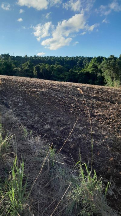 Terreno, 6 hectares - Foto 3