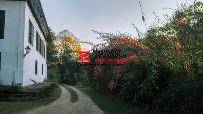 Terreno, 35 hectares - Foto 3