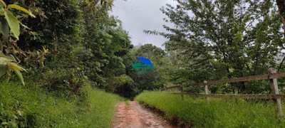 Chácara, 5 hectares - Foto 4