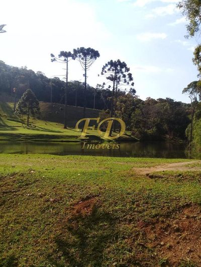 Sítio, 3 quartos, 34 hectares - Foto 5
