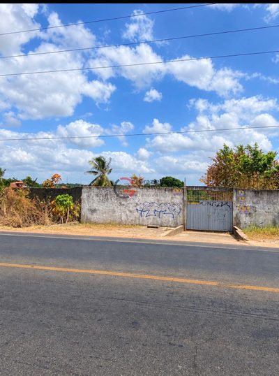 Terreno, 10000 m² - Foto 1